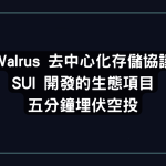 Walrus 去中心化存儲協議